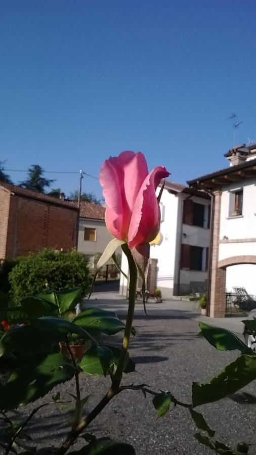 Gli Acini Bed & Breakfast Pietra de' Giorgi Exterior photo